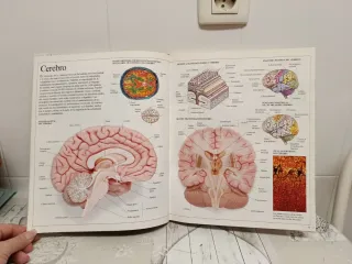 Enciclopedia visual de los seres vivos
