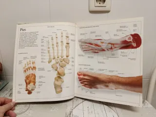 Enciclopedia visual de los seres vivos