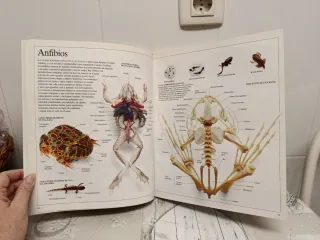 Enciclopedia visual de los seres vivos