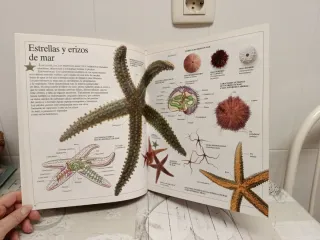 Enciclopedia visual de los seres vivos