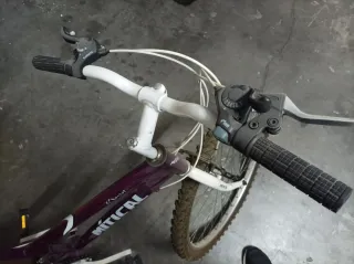 Bicicleta de Montaña Mítica Chariot Morada