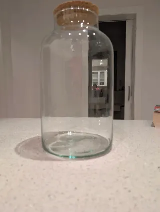 Terrario de Vidrio con Tapa de Corcho