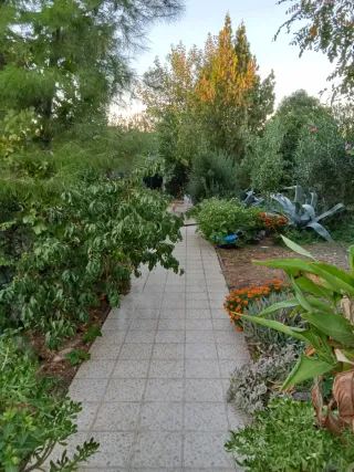 Chalet con parcela y piscina