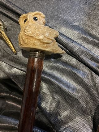 Colección de 5 bastones decorativos