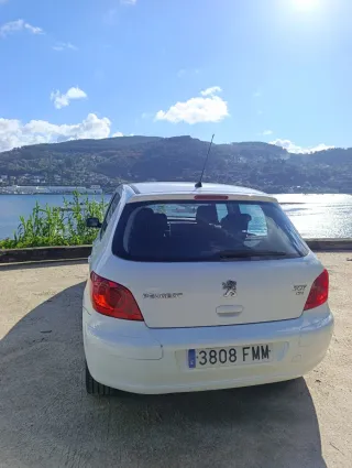 Peugeot 307 2007