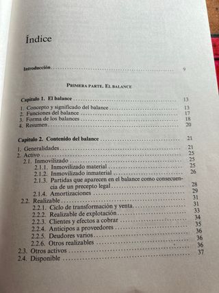 Cómo Interpretar un Balance