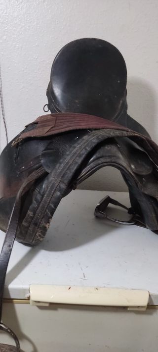 Montura de caballo inglesa