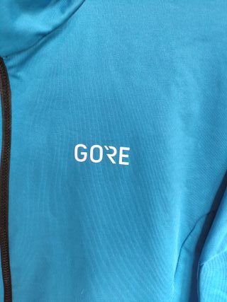 Maillot Térmico Gore Wear Azul