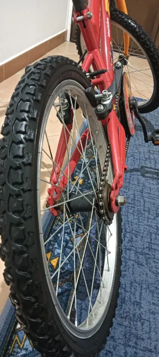 Bicicleta infantil roja 20 pulgadas