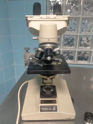 Microscopio Labo
