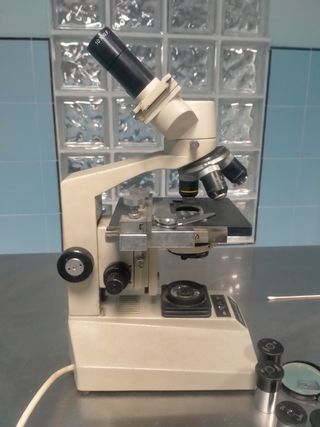 Microscopio Labo