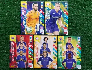5 Carte Adrenalyn XL Panini Titans Fiorentina