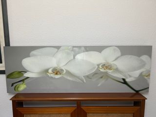 Cuadro Decorativo IKEA orquideas