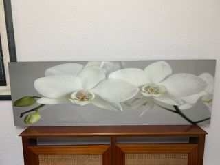 Cuadro Decorativo IKEA orquideas