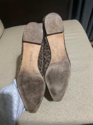 Bailarinas Manolo Blahnik estampado leopardo