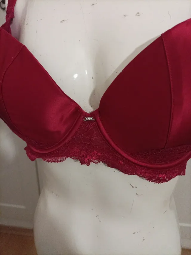 Sujetador elegante burdeos