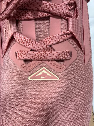 Nike Pegasus Trail 5 GTX