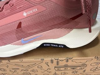 Nike Pegasus Trail 5 GTX