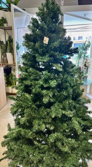 Albero di Natale Folto 210 cm