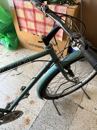 Bicicleta WHIRLWIND Verde