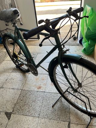 Bicicleta WHIRLWIND Verde