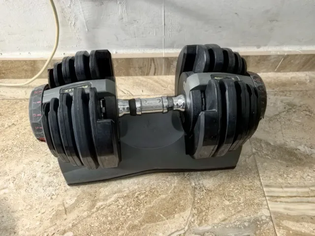 Mancuernas Ajustables Bowflex