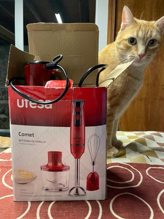 Batidora Ufesa Comet Accesorios