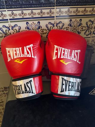 Guantes de Boxeo Everlast 10 oz