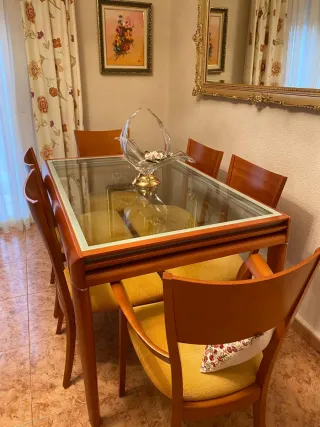 Mesa comedor con 6 sillas