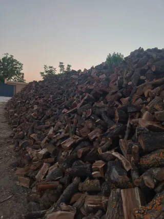 Leña de almendro para chimenea