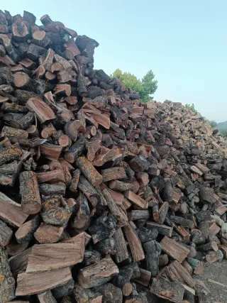 Leña de almendro para chimenea