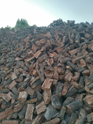 Leña de almendro para chimenea