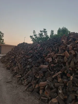 Leña de almendro para chimenea