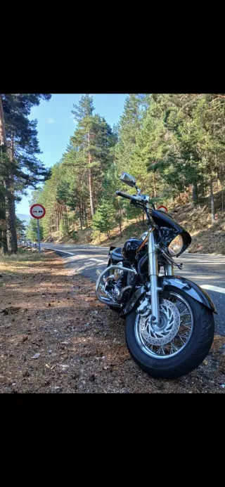 Yamaha Dragstar 650 Custom 2008