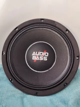 Medio Grave 12 pulgadas 2400W