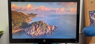 Monitor HP 2311x 23 LCD Negro