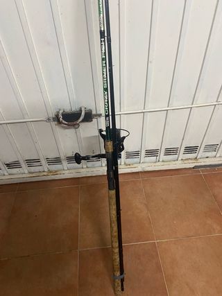Caña de pesca Crazy Silver Fish 420