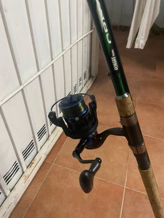 Caña de pesca Crazy Silver Fish 420