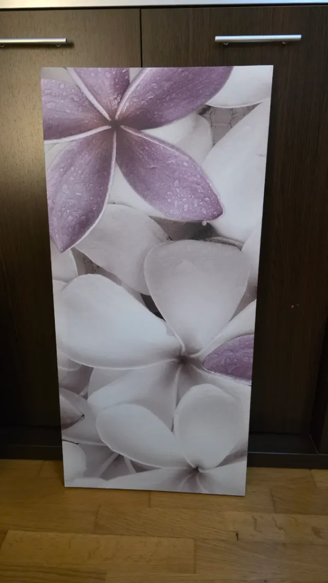 Cuadro Decorativo Flores Moradas y Blancas medidas