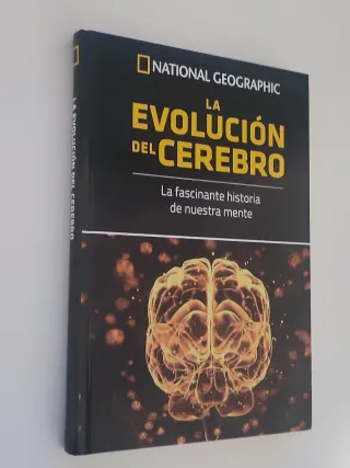 La evolución del cerebro la fascinante historia...