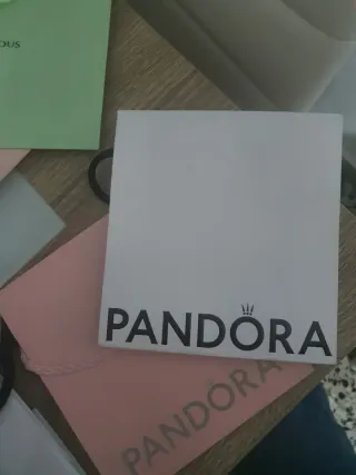 Bolsas de marca Pandora, Tous, Singularu