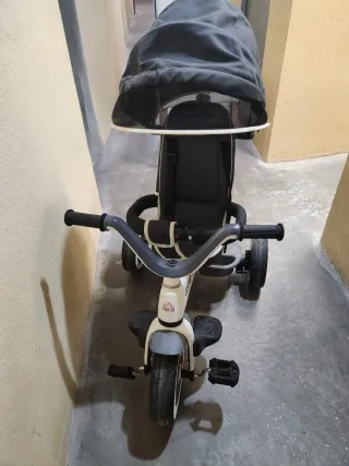 Triciclo Evolutivo Niño/Niña