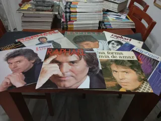 VENDO GRANDES COLECCIÓNES DE DISCOS DE VINILO
