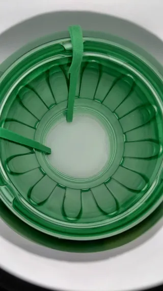 Protectores para huerto