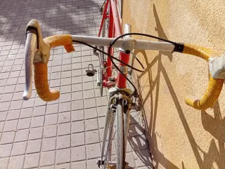 Bicicleta G.A.C. Zeleris Roja