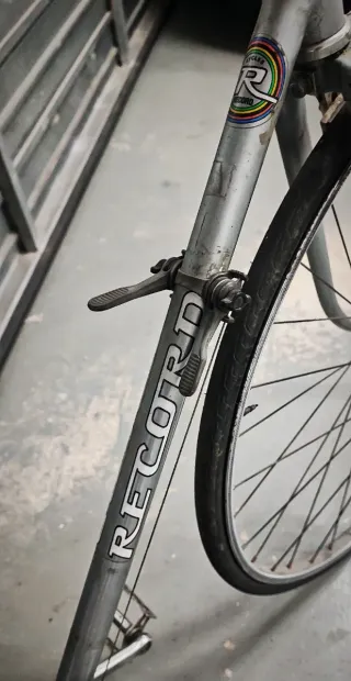 Bicicleta Clásica Record