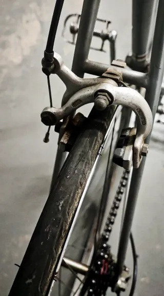 Bicicleta Clásica Record