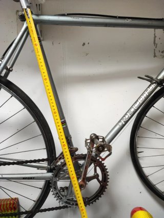 Bicicleta Clásica Record