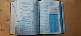 Diccionario de Primaria de lengua española