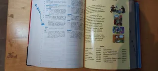 Diccionario de Primaria de lengua española